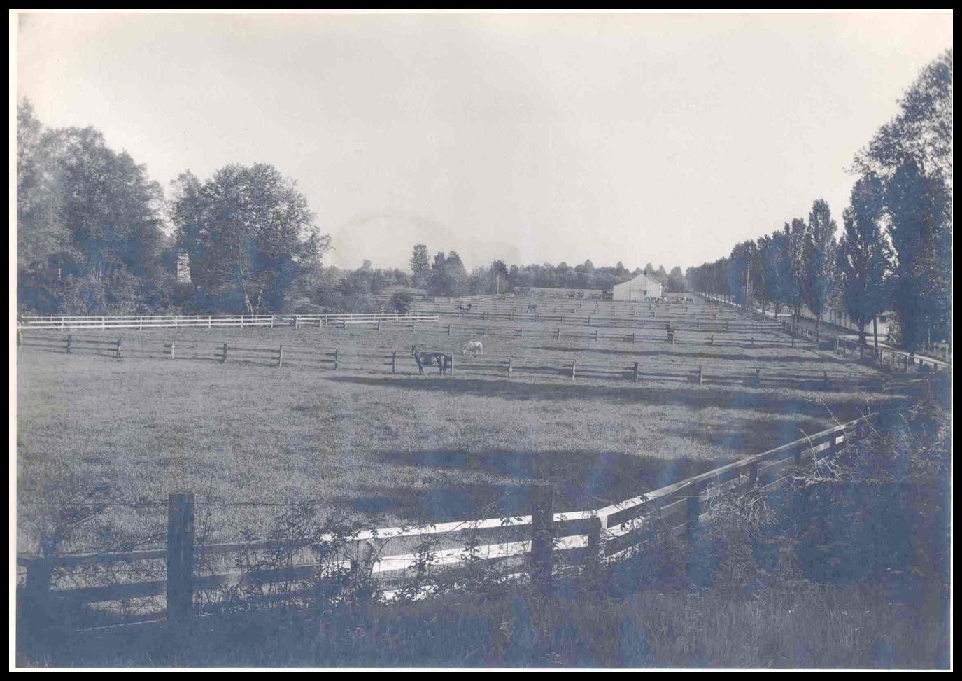 Farm Fields