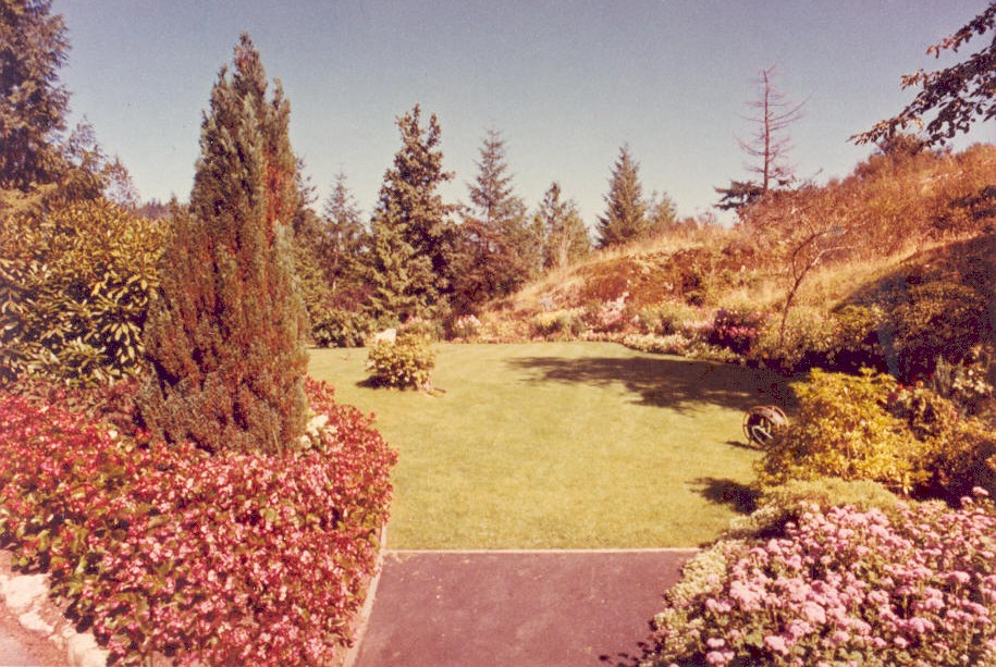 Landscape now parking lot 1960-1961