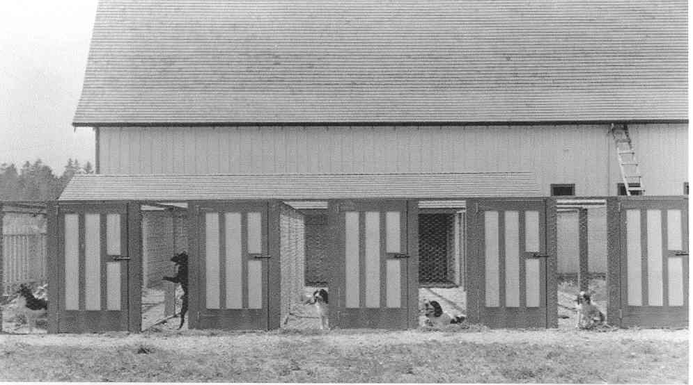 Dog Kennels 1935