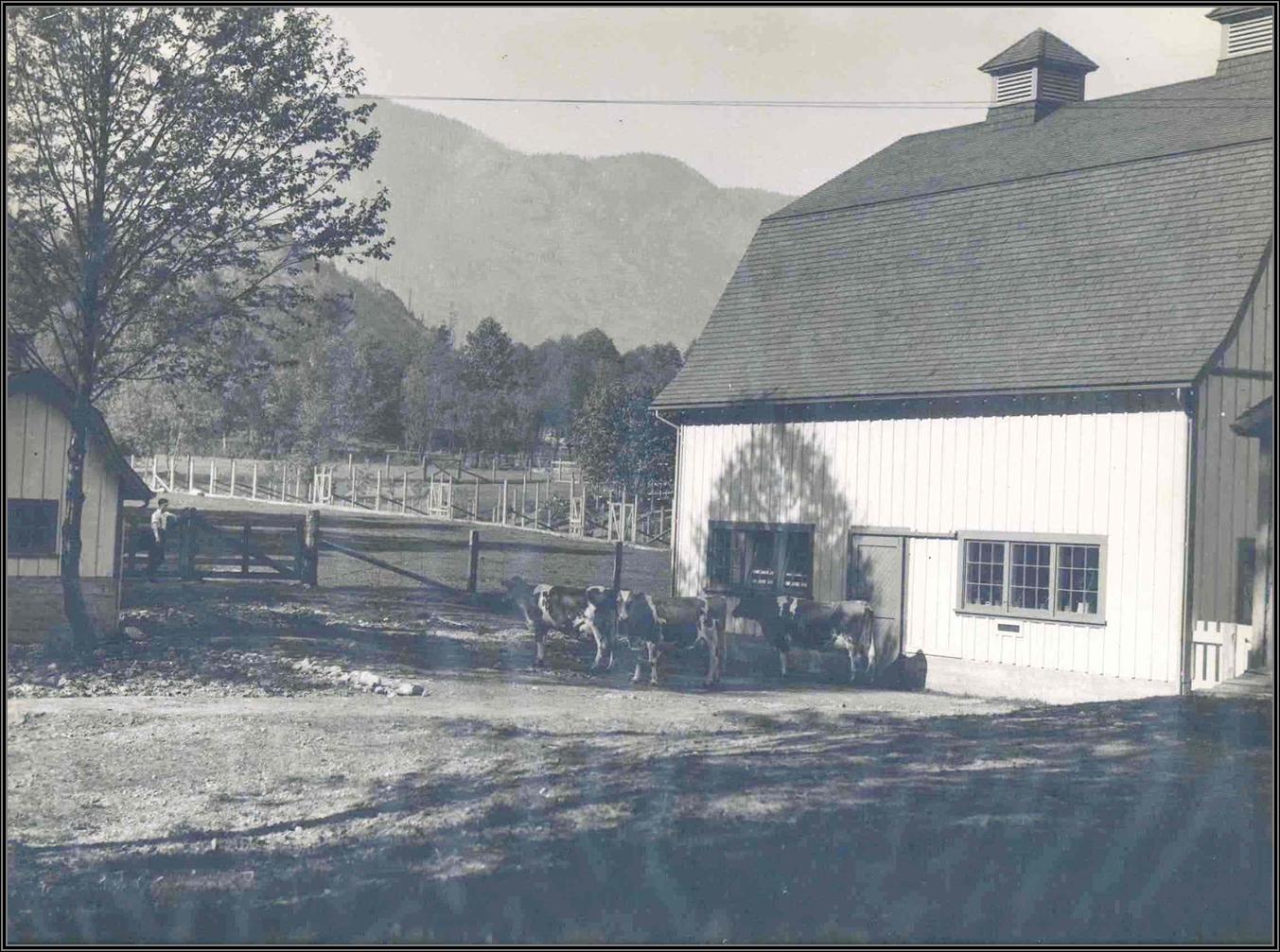 Farm 1939
