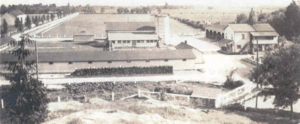 Farm prior to renovations 1933