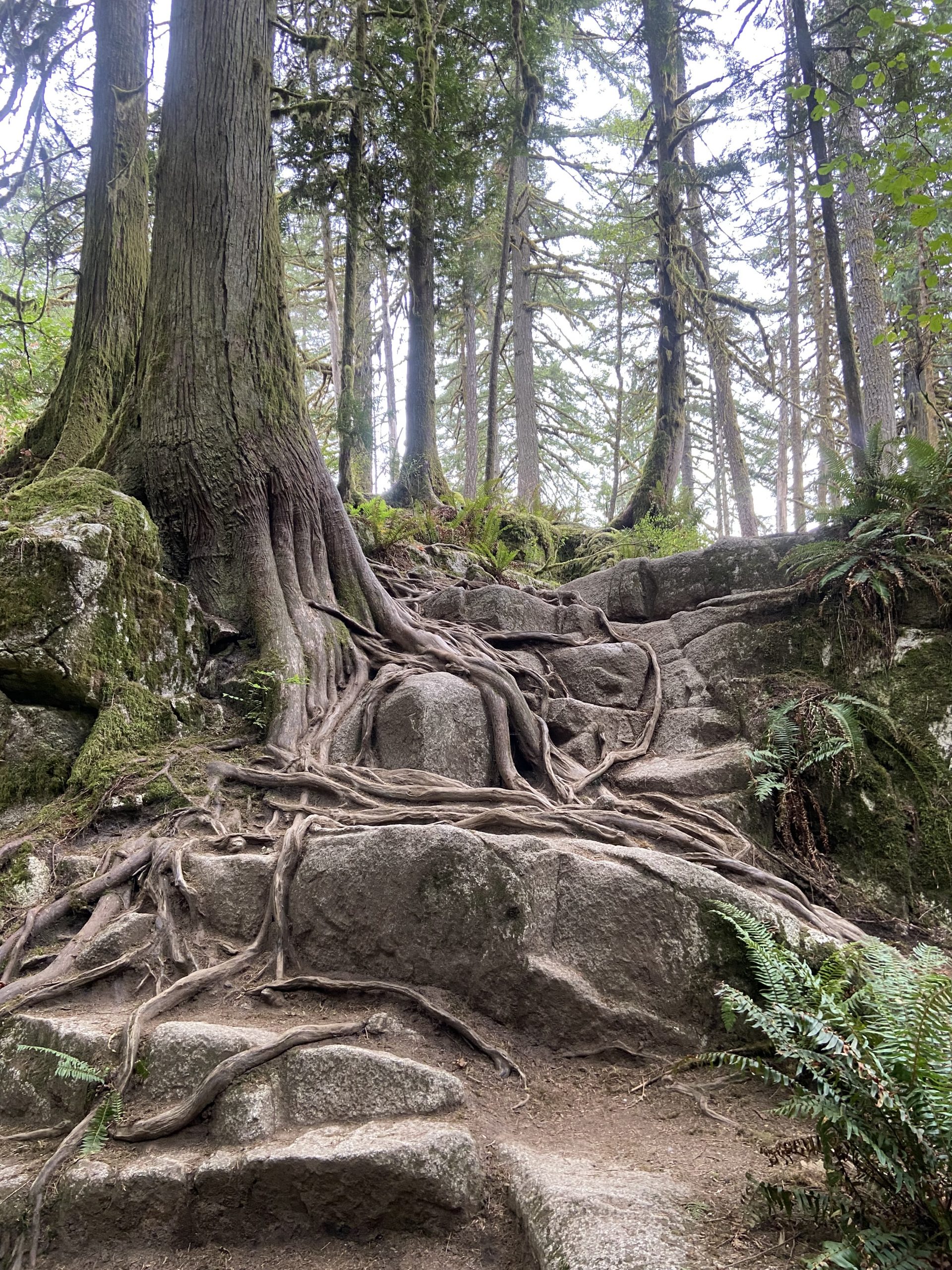 Stone Stairs by Julie Kanya