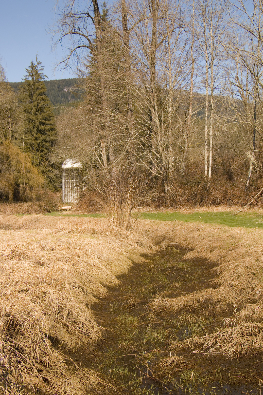 Silo Path