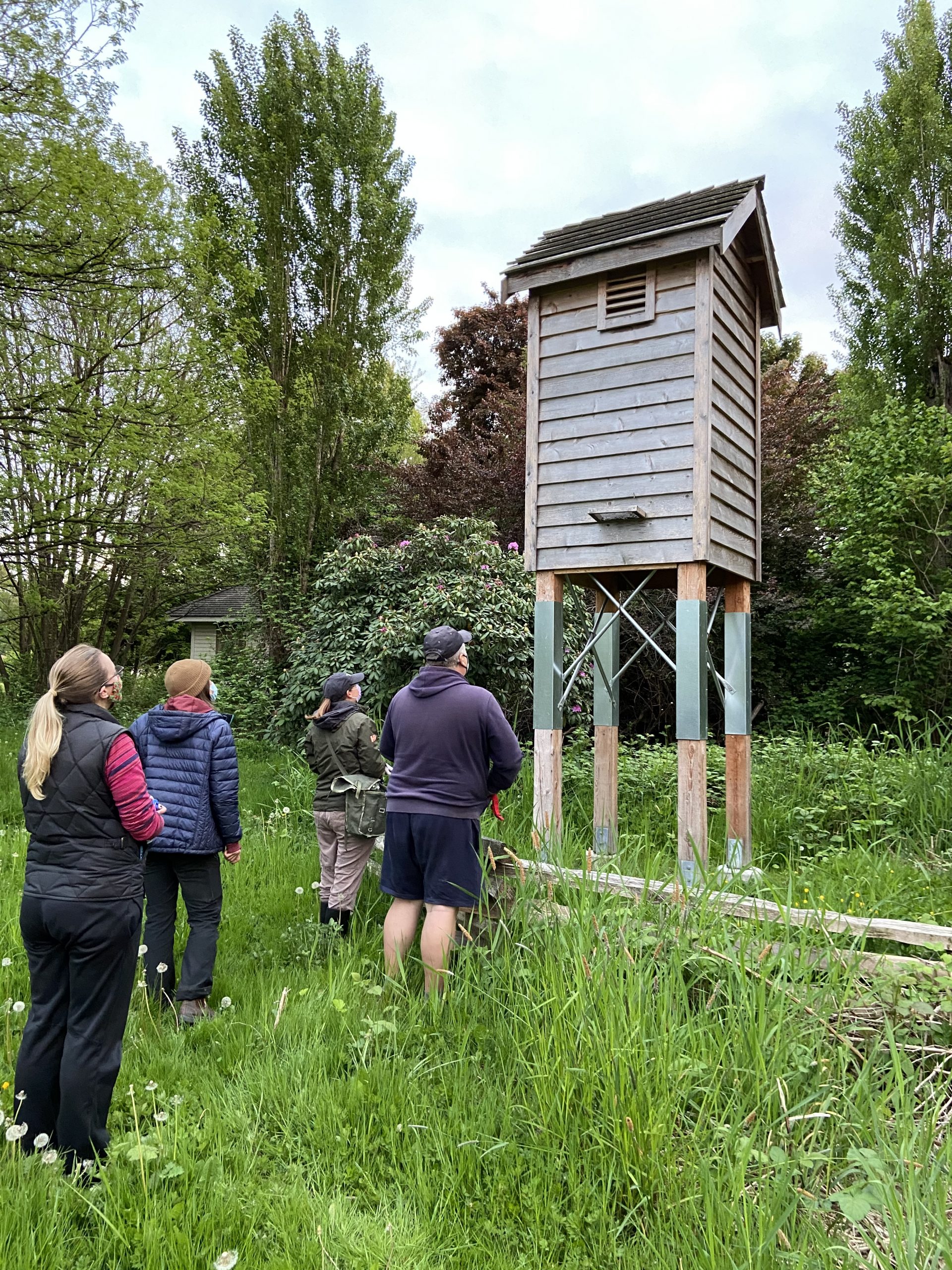 May 13, 2021 Bat count training at Colony Farm (9)